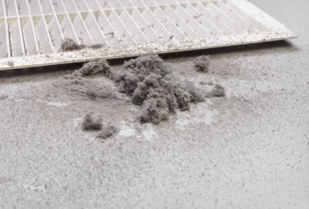 Best Professional Duct Cleaning Services  in Hewlett, NY